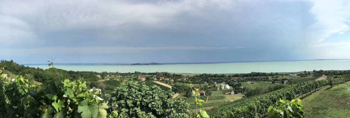 Badacsony - kilátás