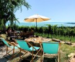 badacsony_balaton_collection balaton collection badacsony